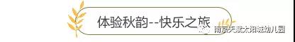 微信图片_20191120181608.jpg